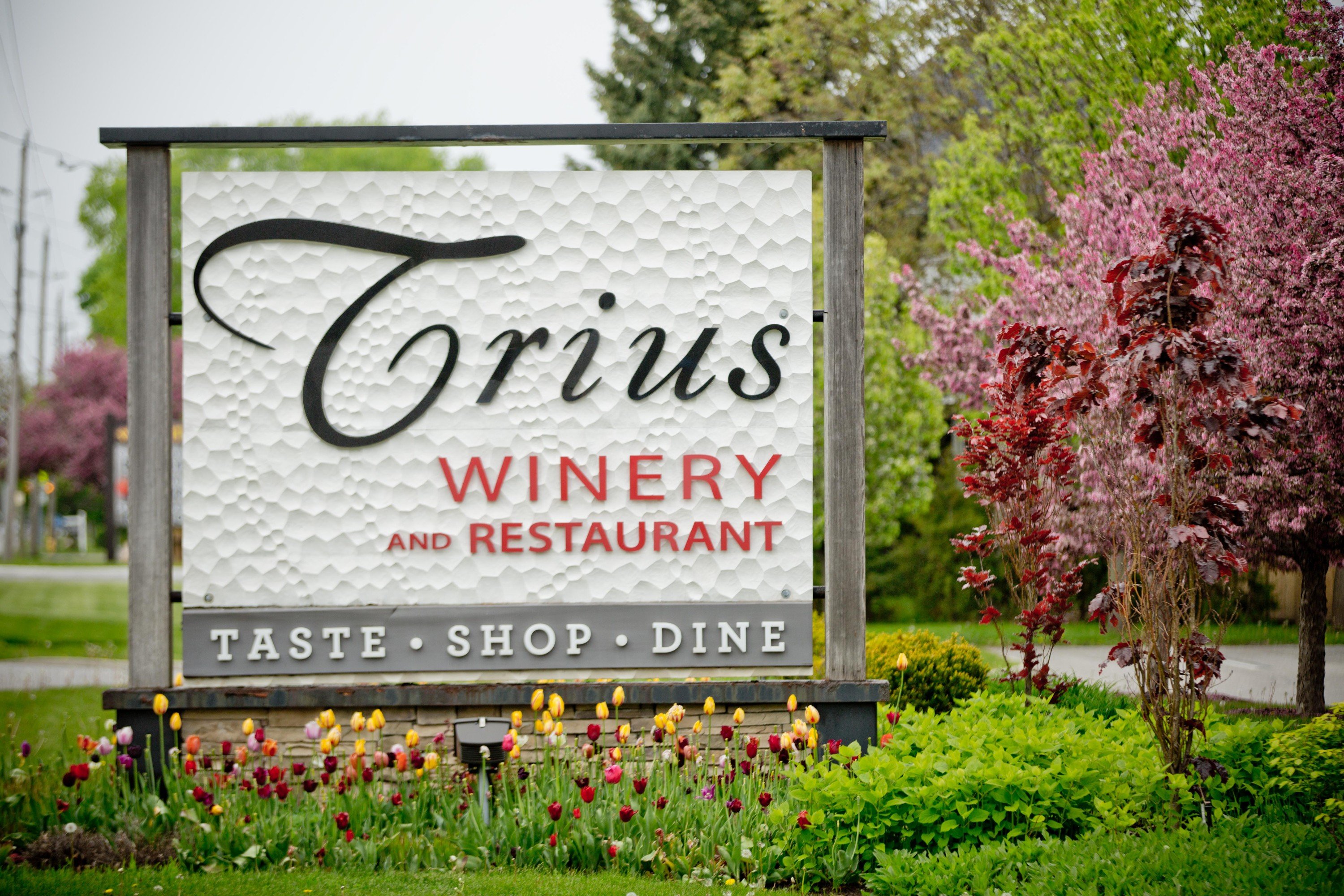 trius winery tour review
