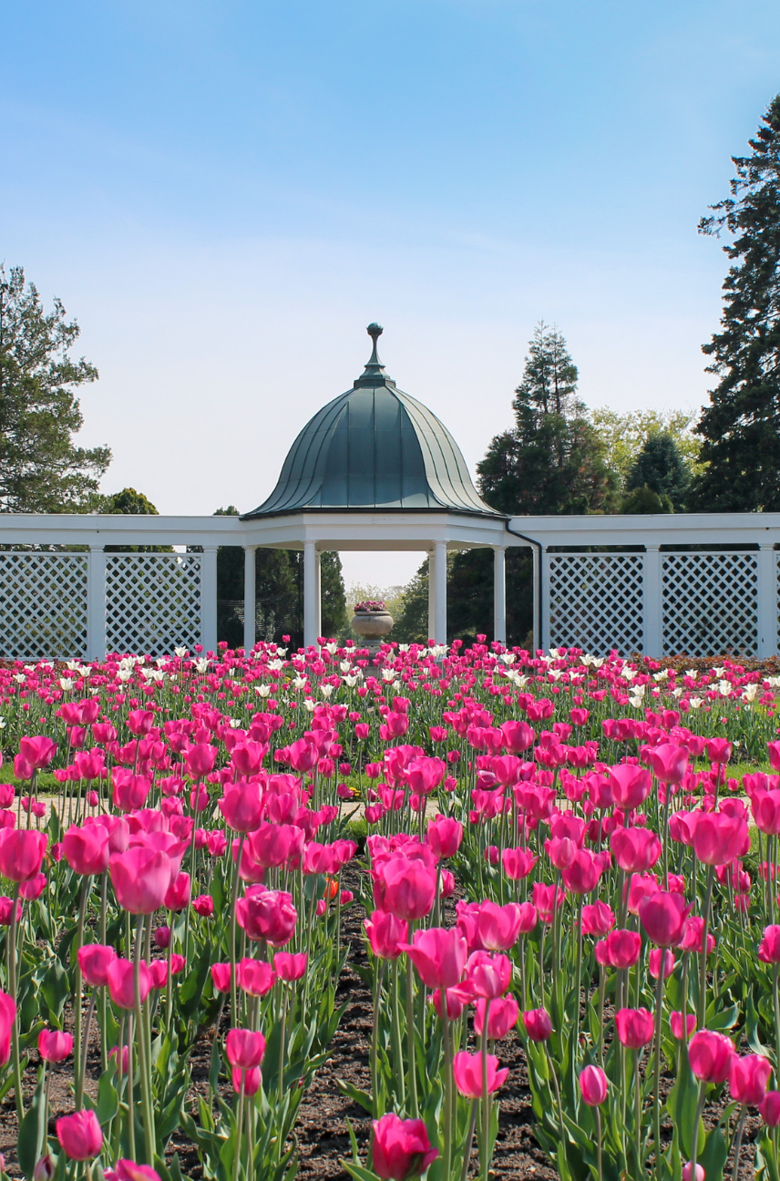 Spring Bloom Guide | Niagara Falls Tourism