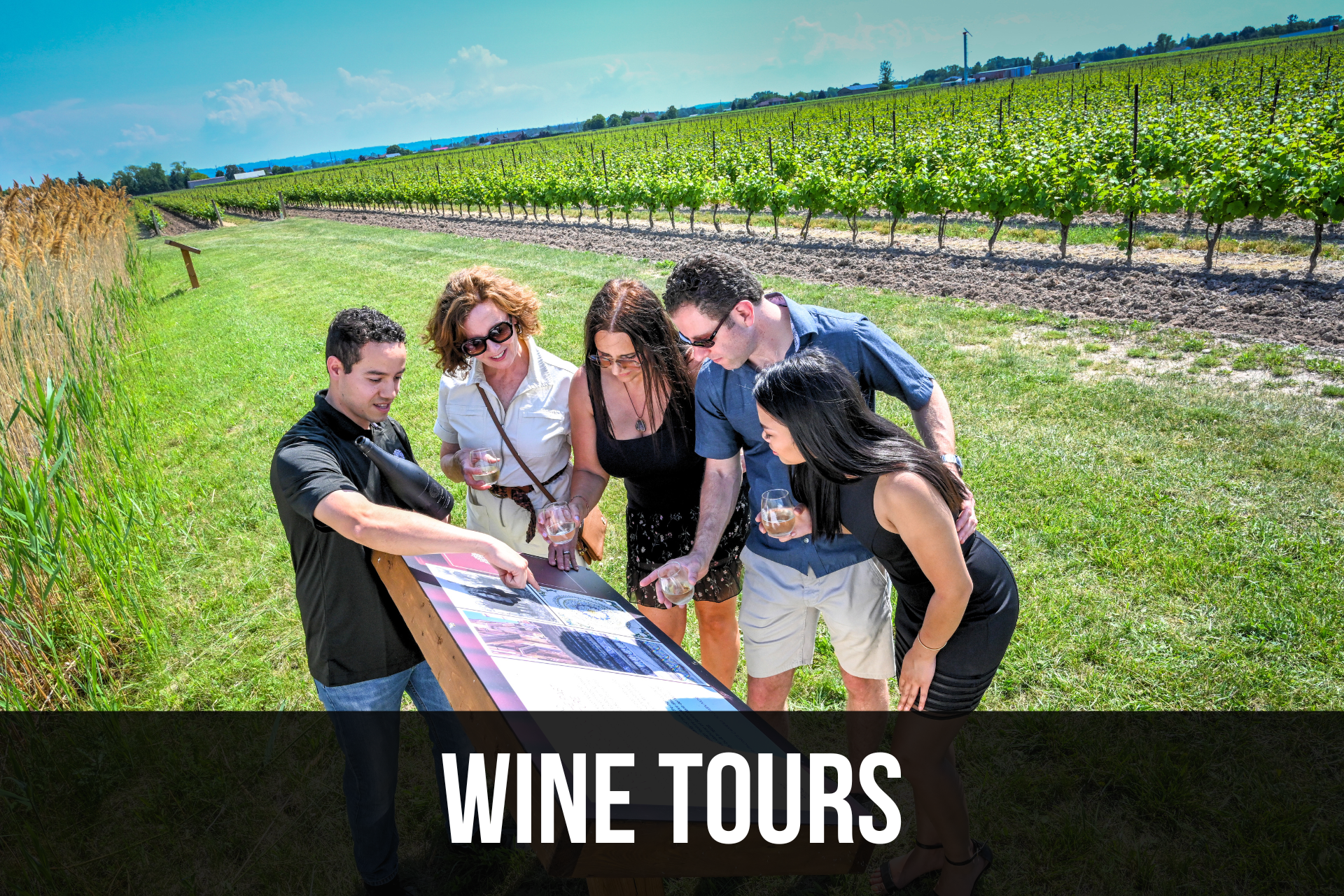 Wine Tours in Niagara Wine Country 