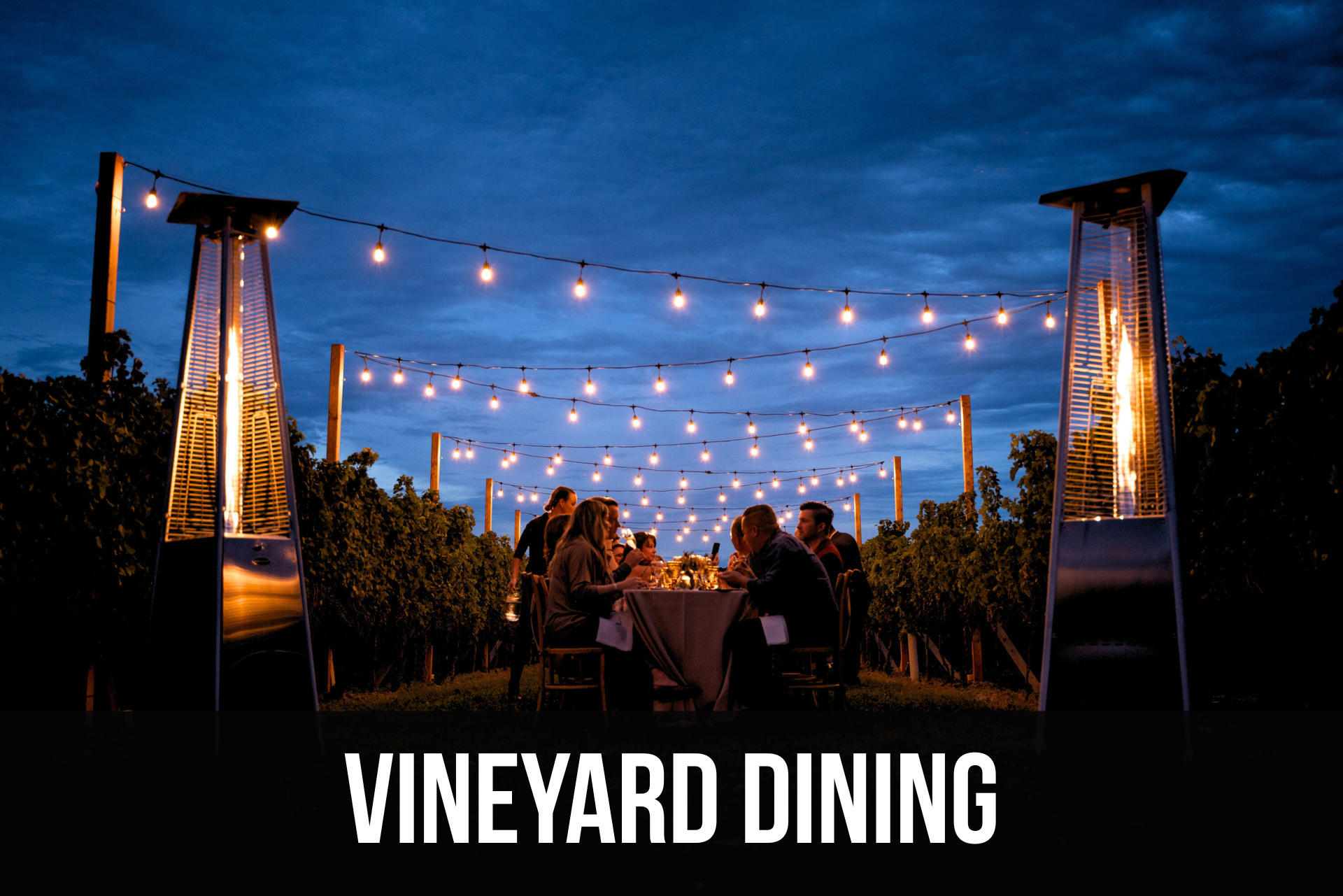 Dining in a Vineyard in Niagara Wine Country 