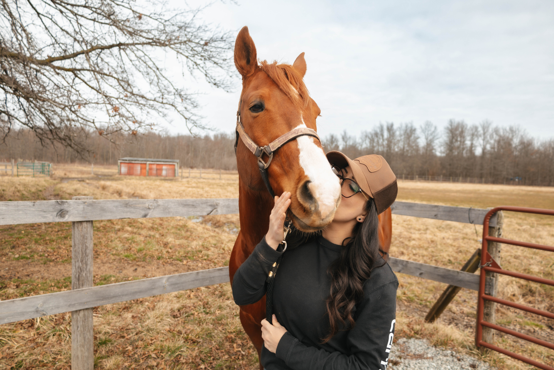 Horseback Riding