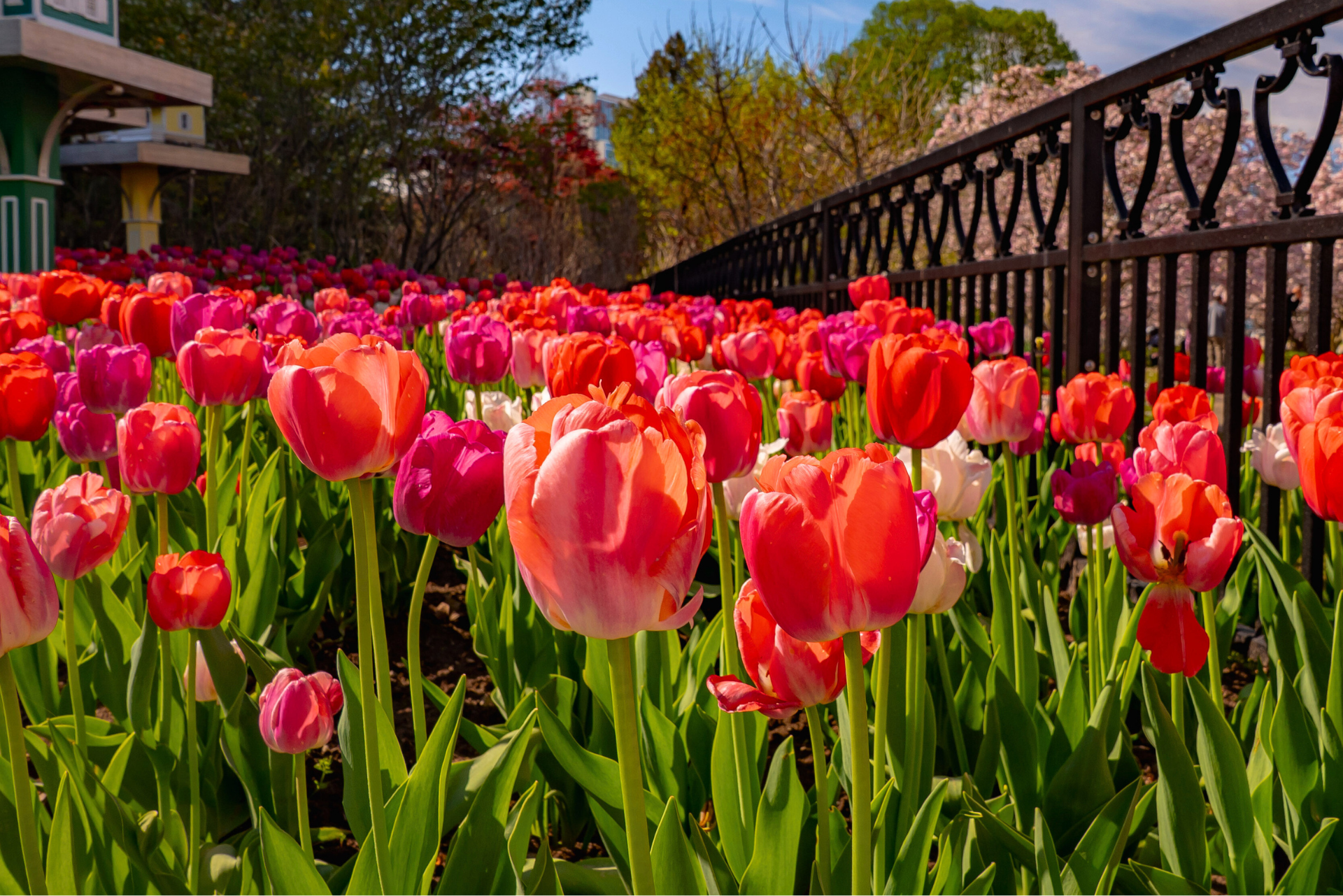 Gardens