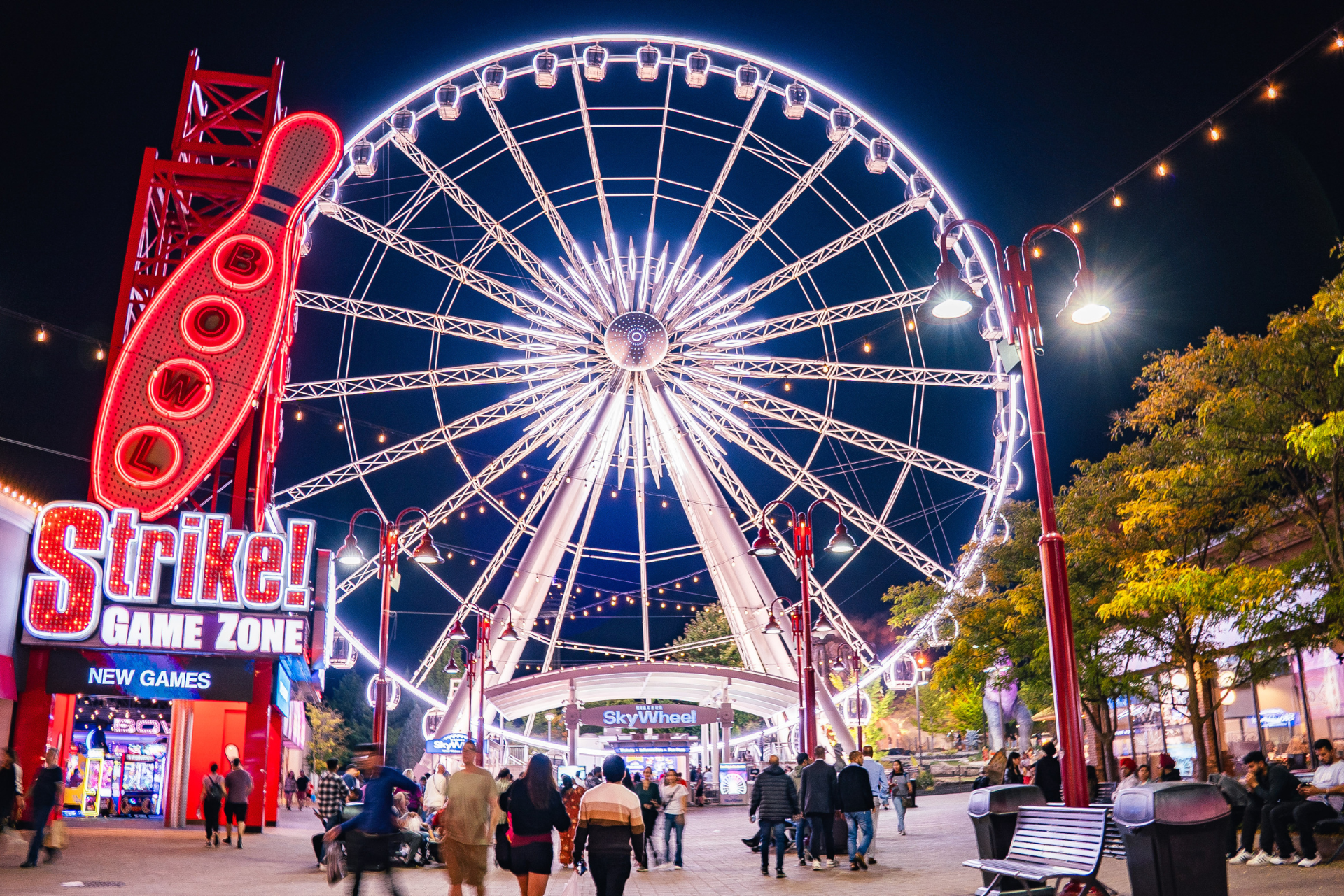 Niagara SkyWheel
