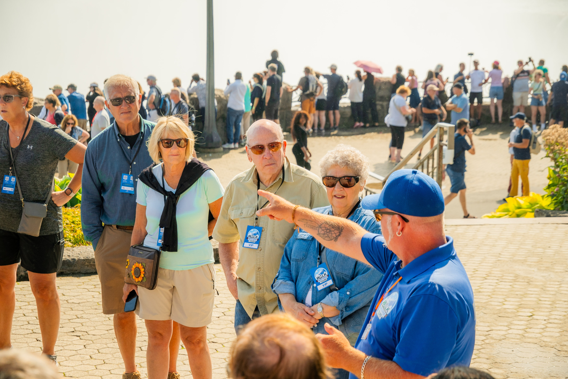 Guided Tours 