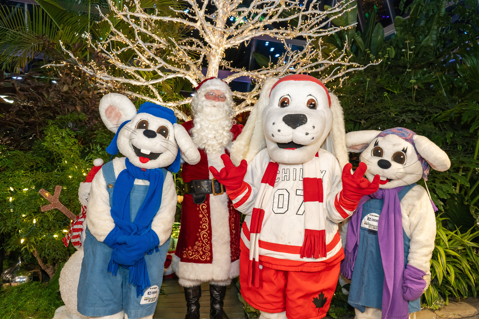 Santa's Photos
