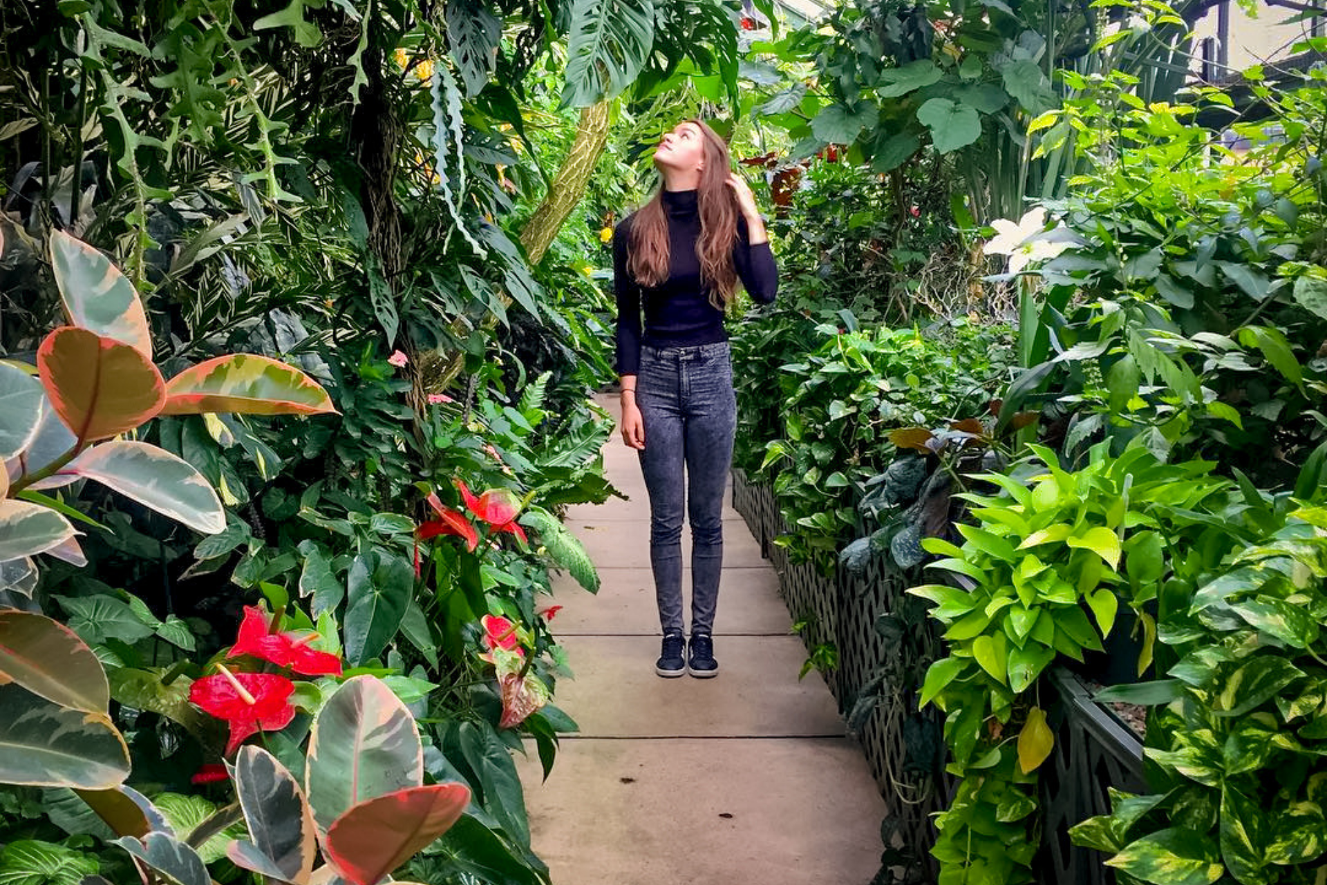 Floral Showhouse 