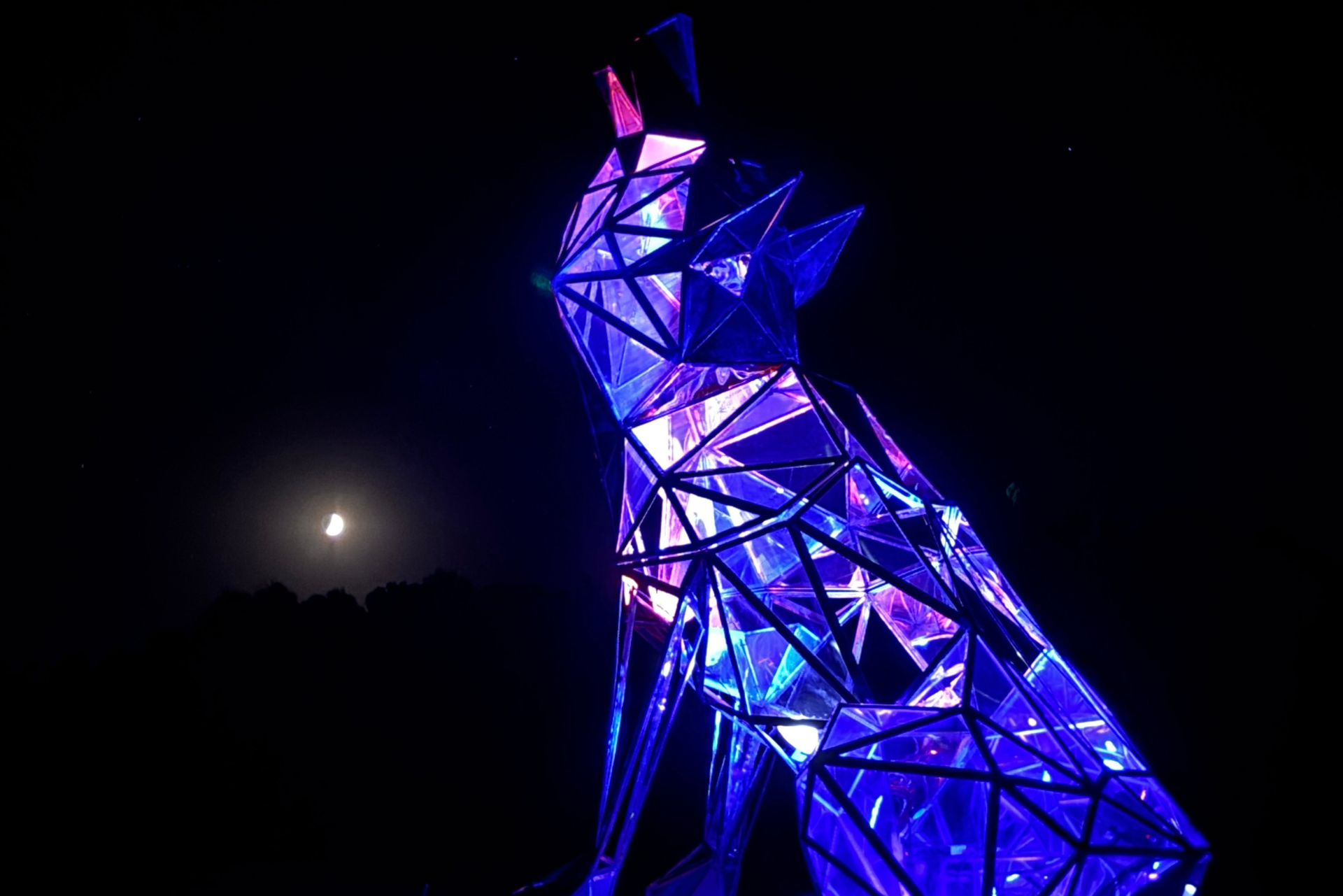 Cosmic Wolf