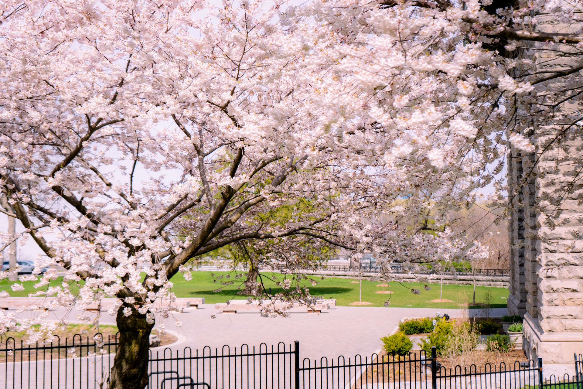 Along the Niagara Parkway