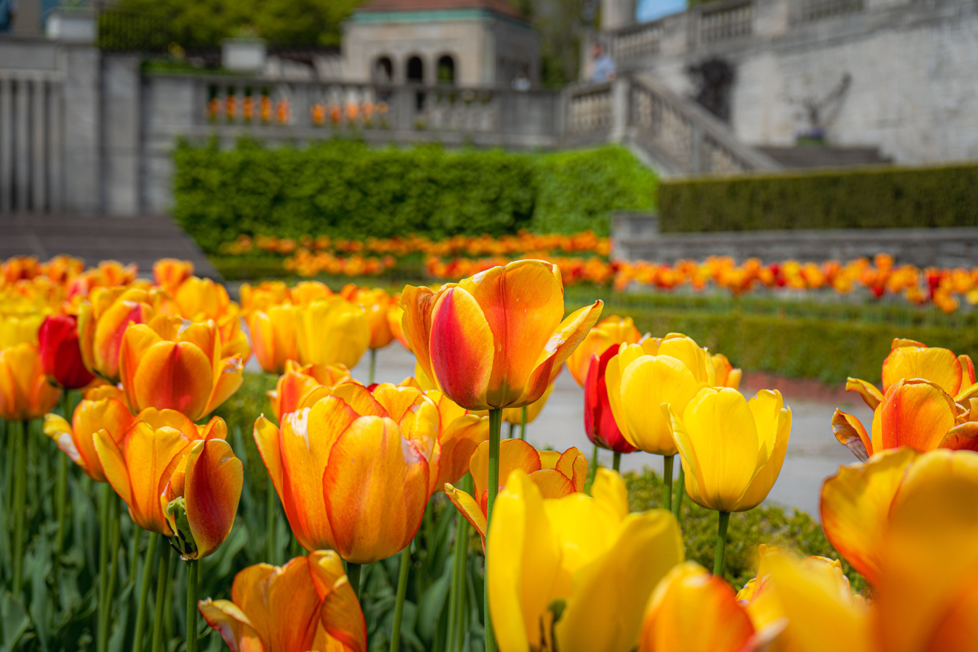 Oakes Garden Theatre