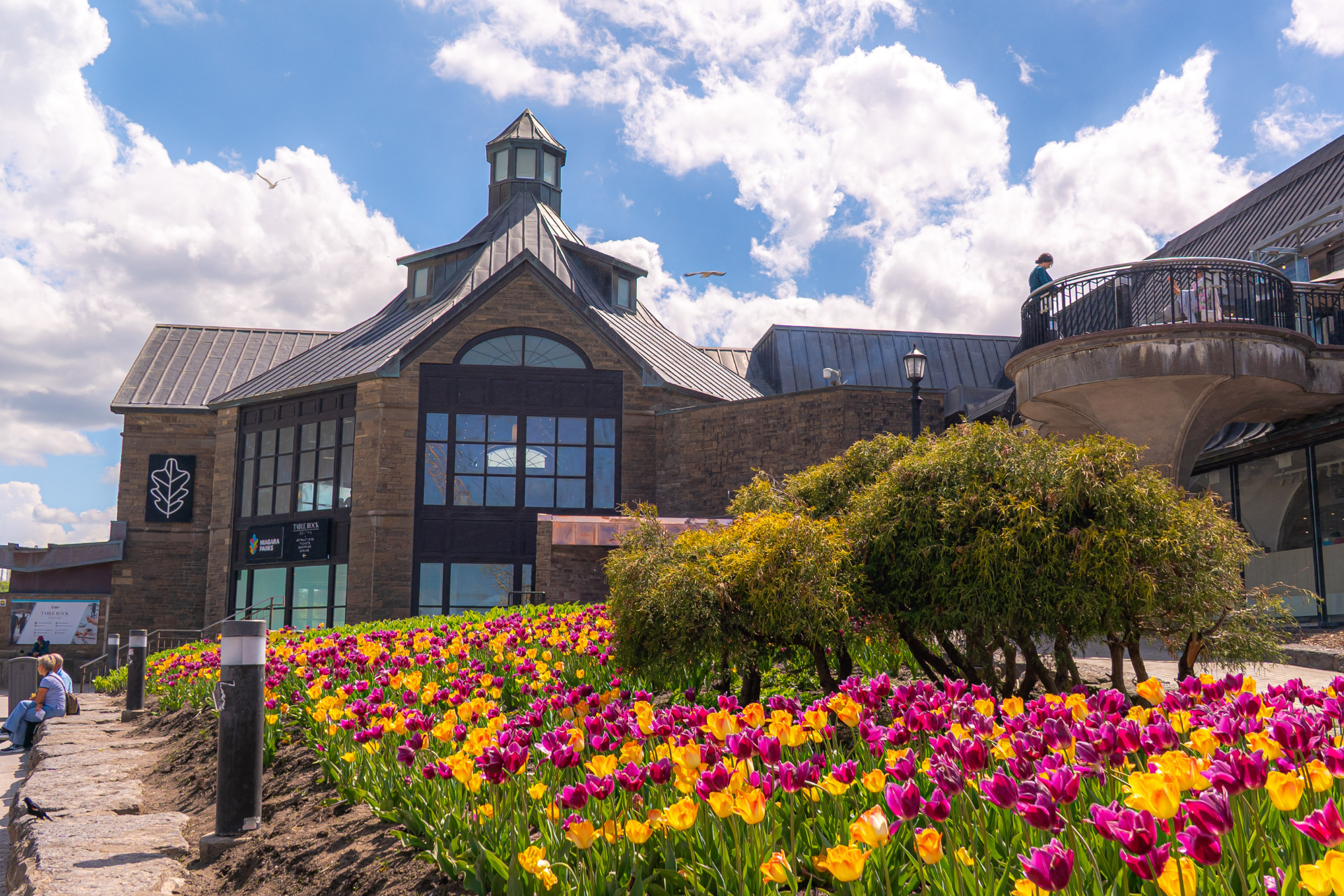 Canna Lilies and Annual Display Beds
