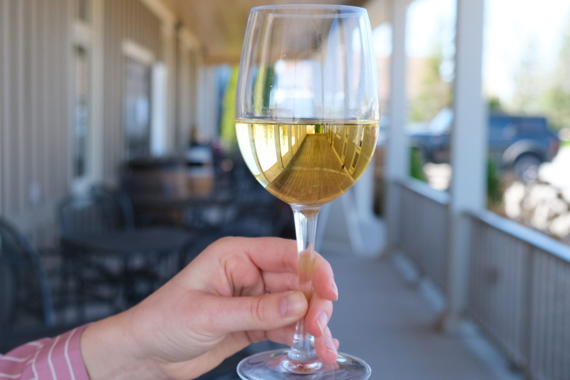  Bella Terra Vineyards