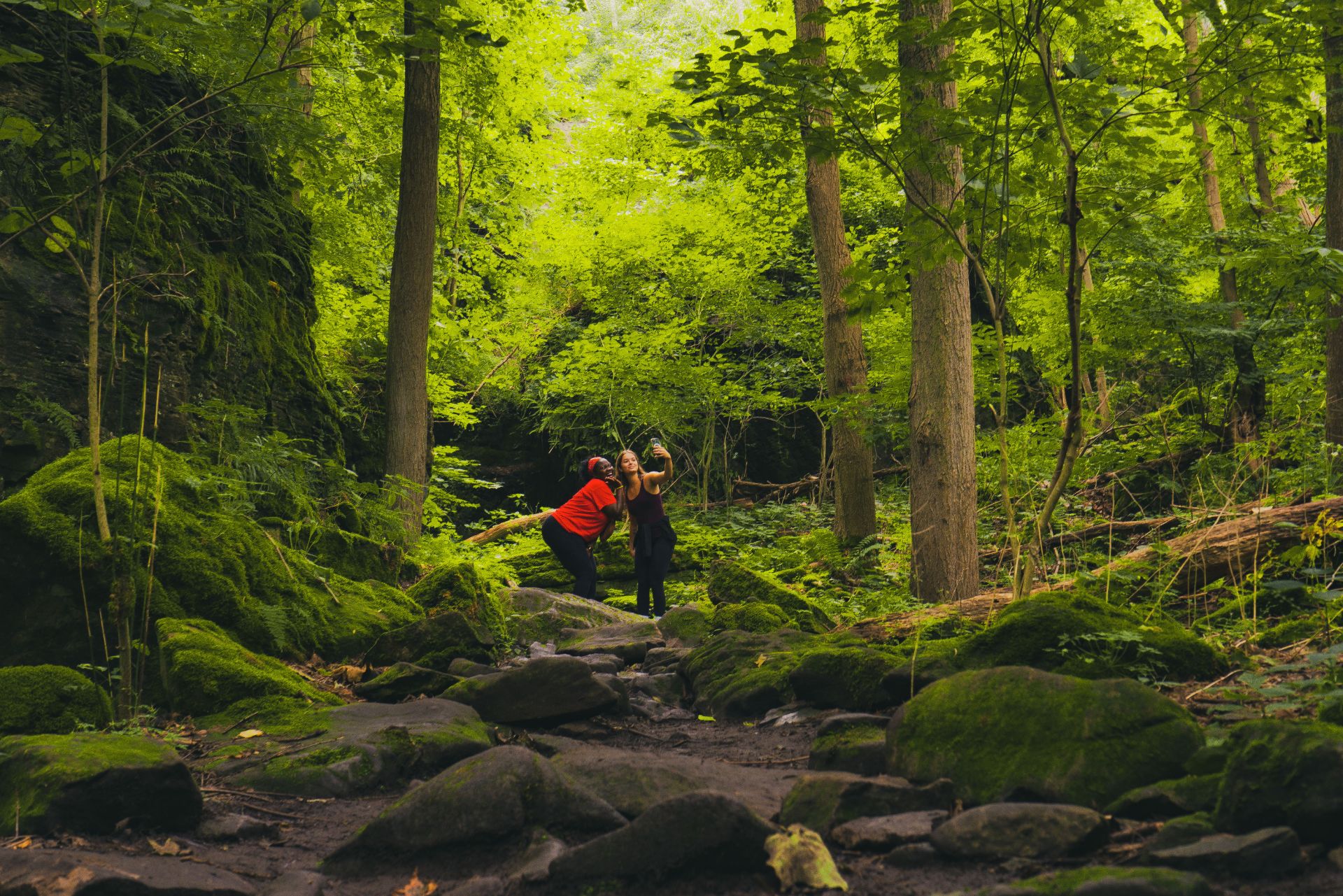 Niagara Glen