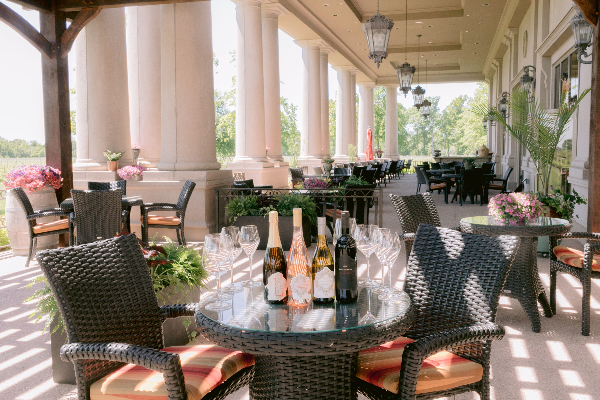 Two Sisters Vineyards