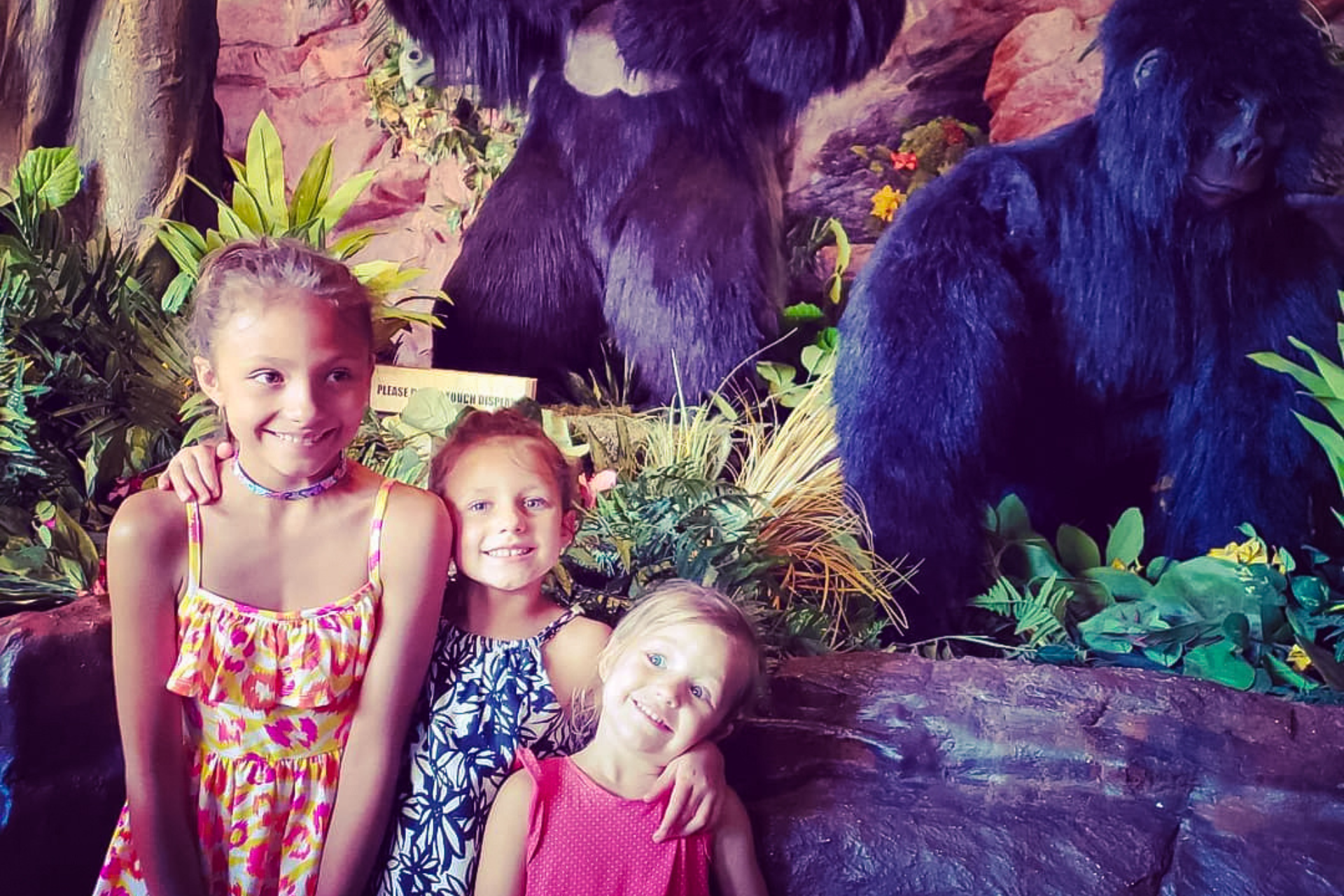 Rainforest Cafe