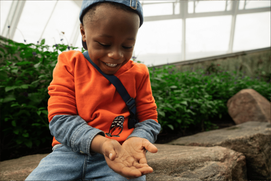 Butterfly Conservatory