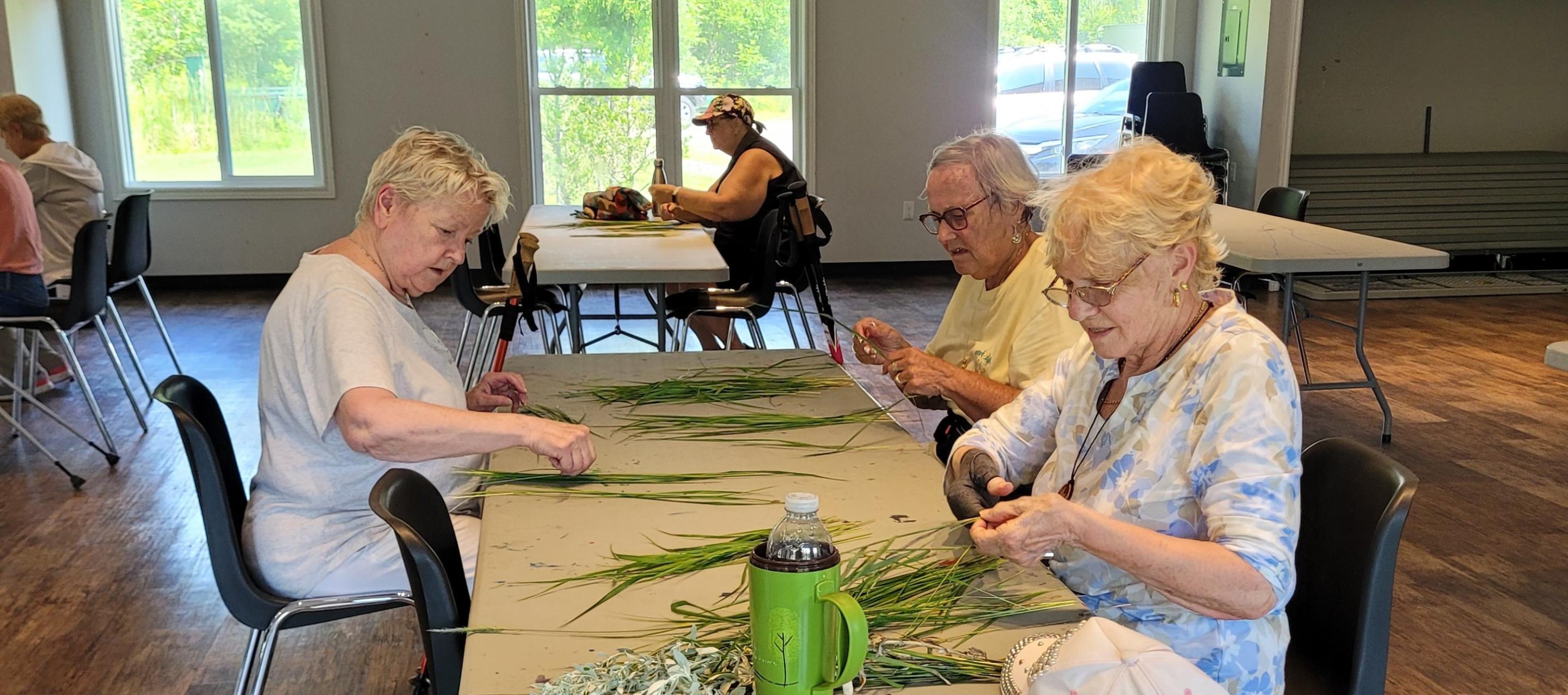 Medicine Walk and Sweetgrass Braiding