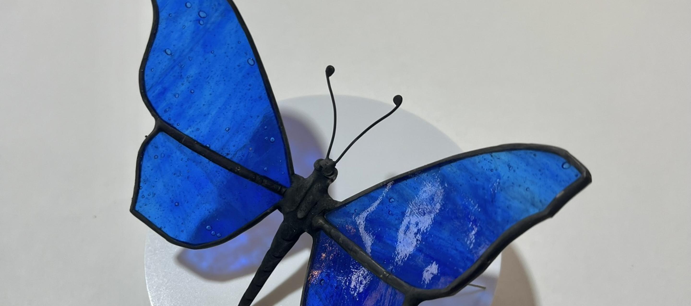 blue butterfly