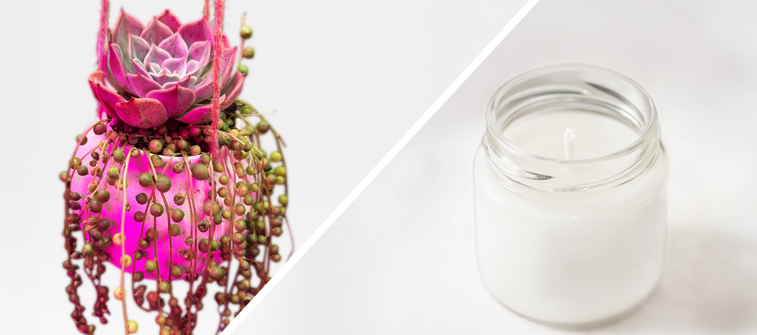 Candle and Hanging Plant Workshop