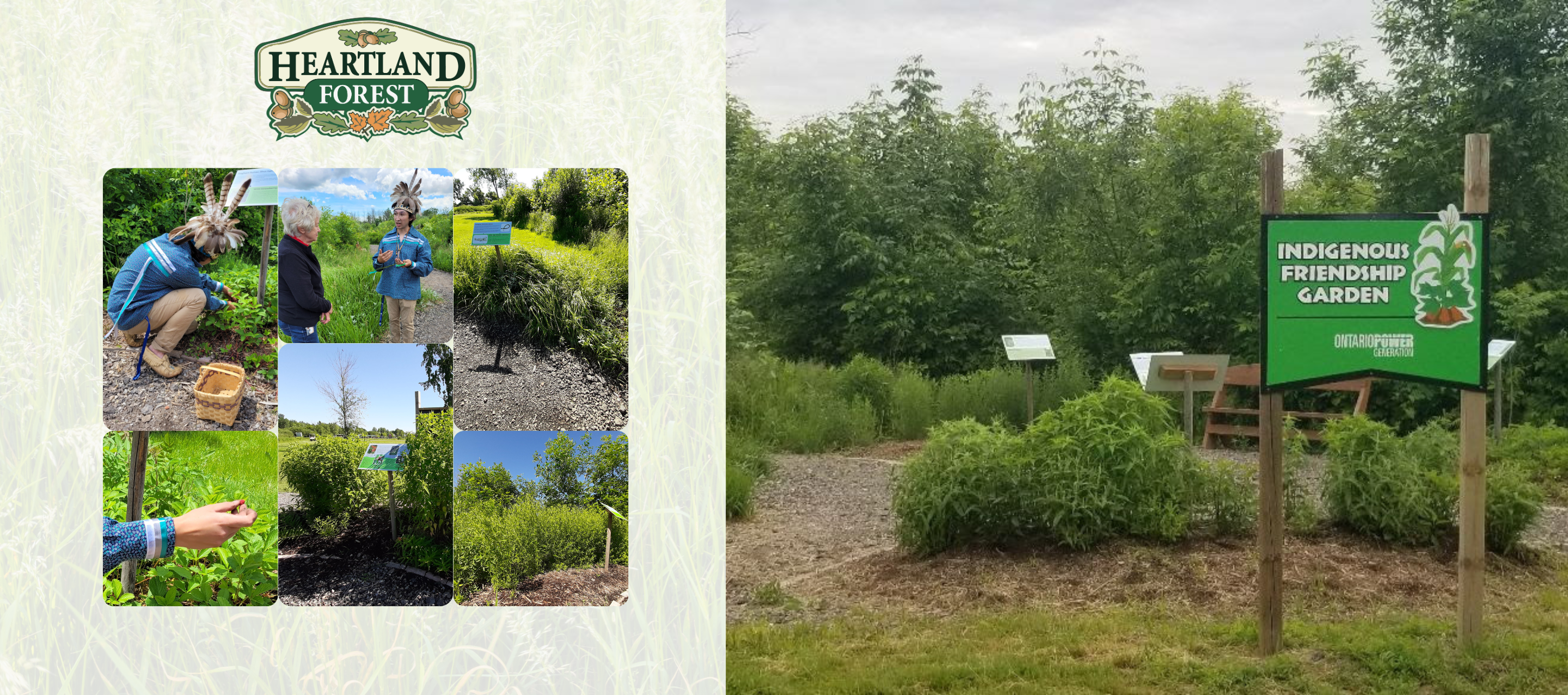 Indigenous Friendship Garden Opening Ceremony at Heartland Forest