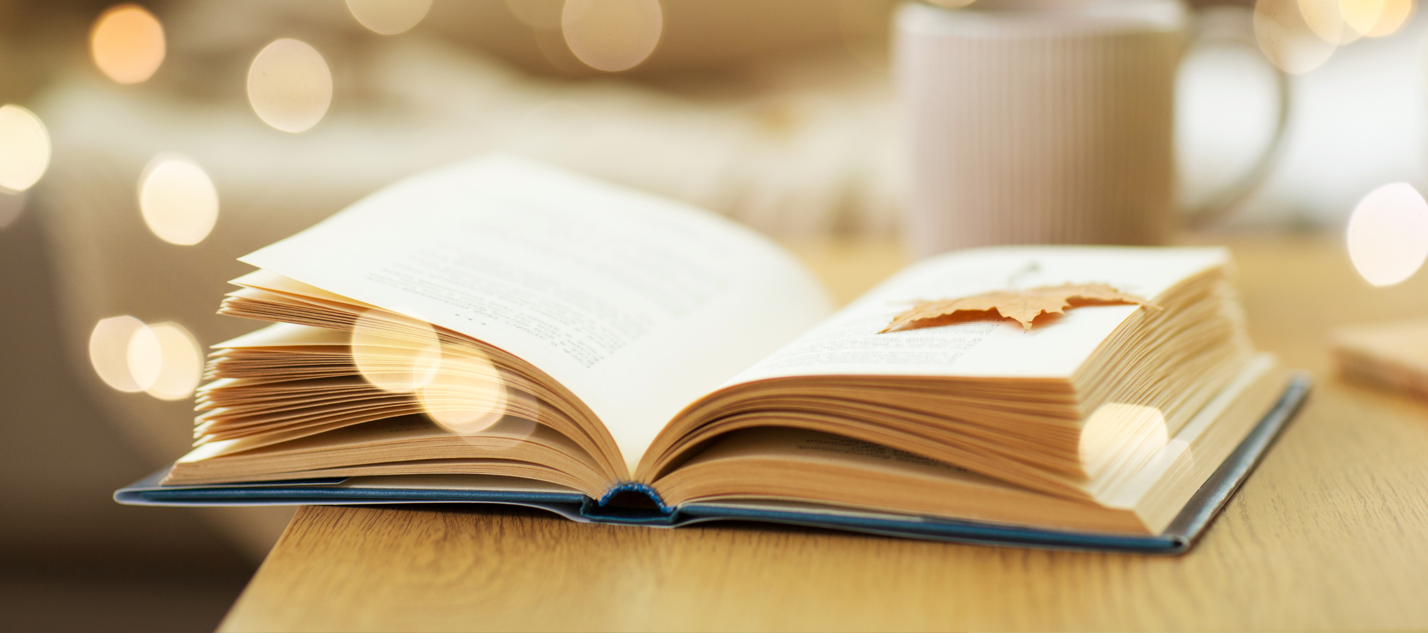 Coast to Coast Literary Series: Canada's Literary Women - Sue Hincenbergs, The Retirement Plan