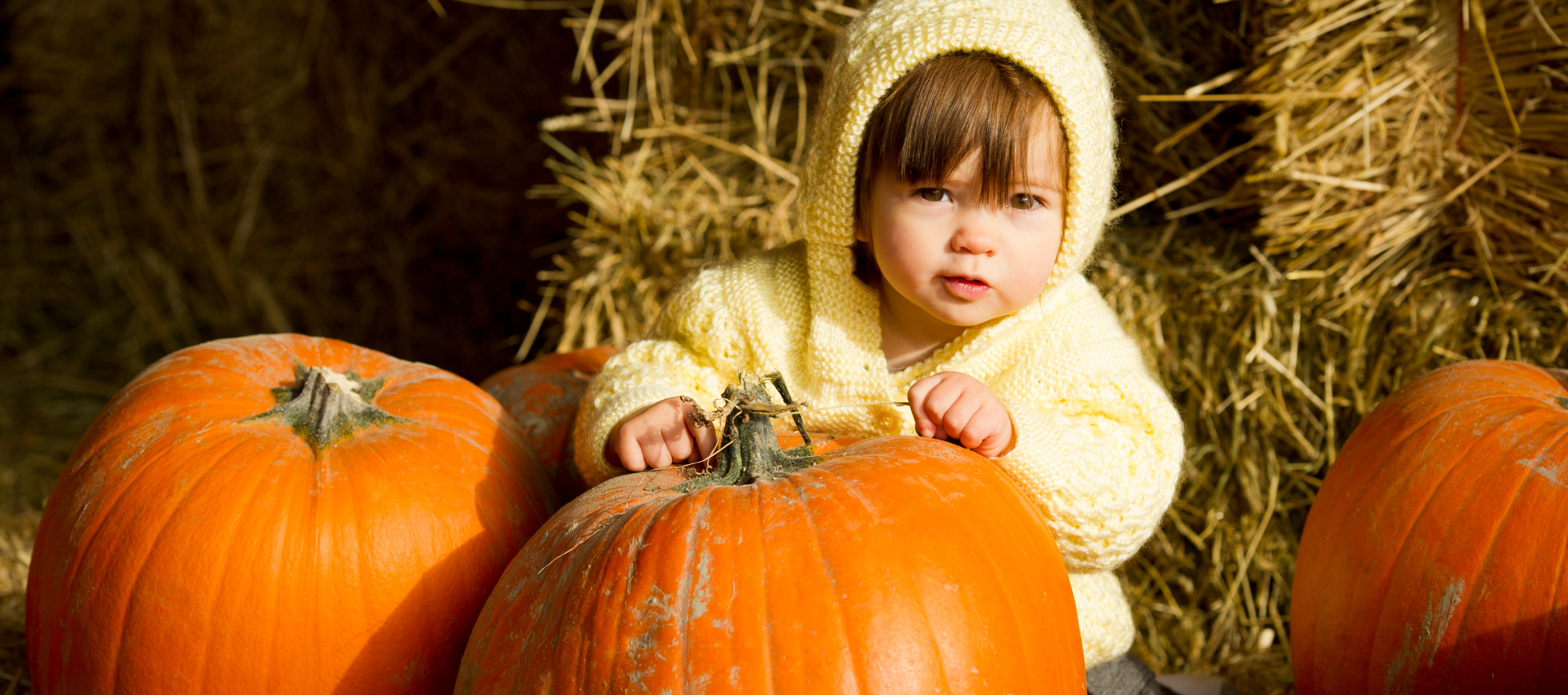 Boo at the Zoo