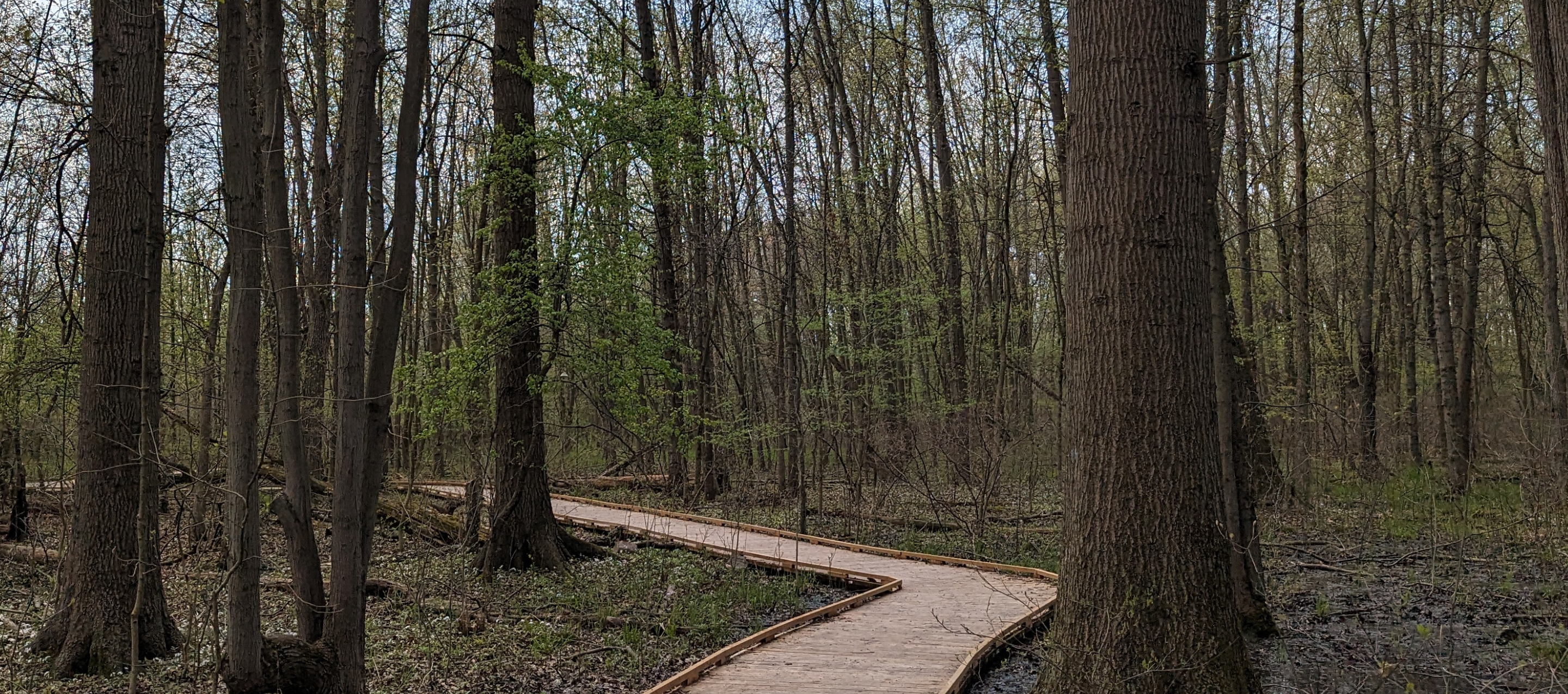 Earth Week Workshops at Heartland Forest