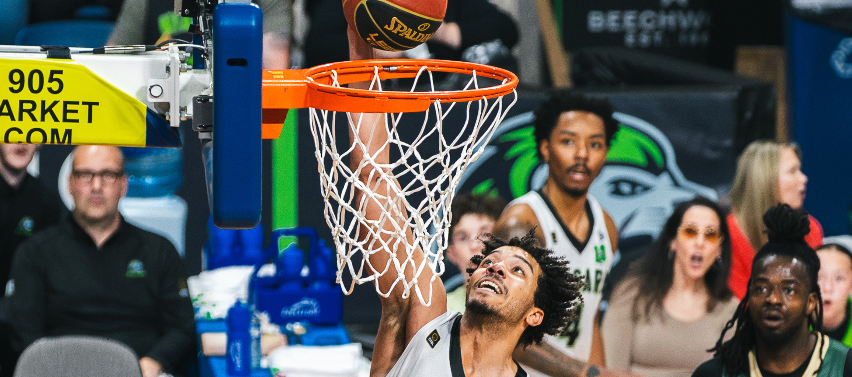 Niagara River Lions vs. Brampton Honey Badgers