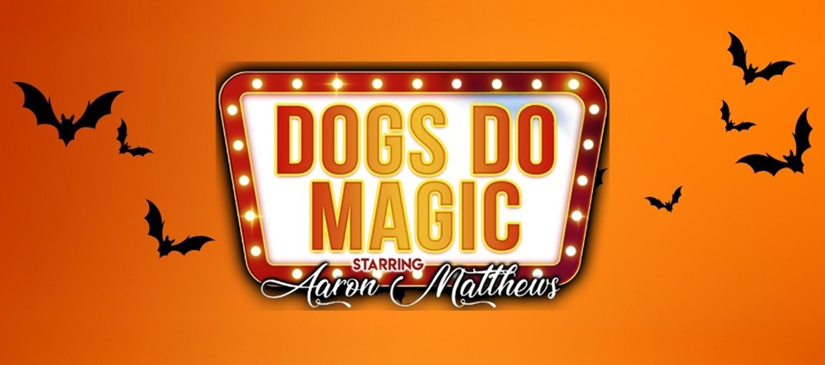 Canine Circus Presents: Dogs Do Magic