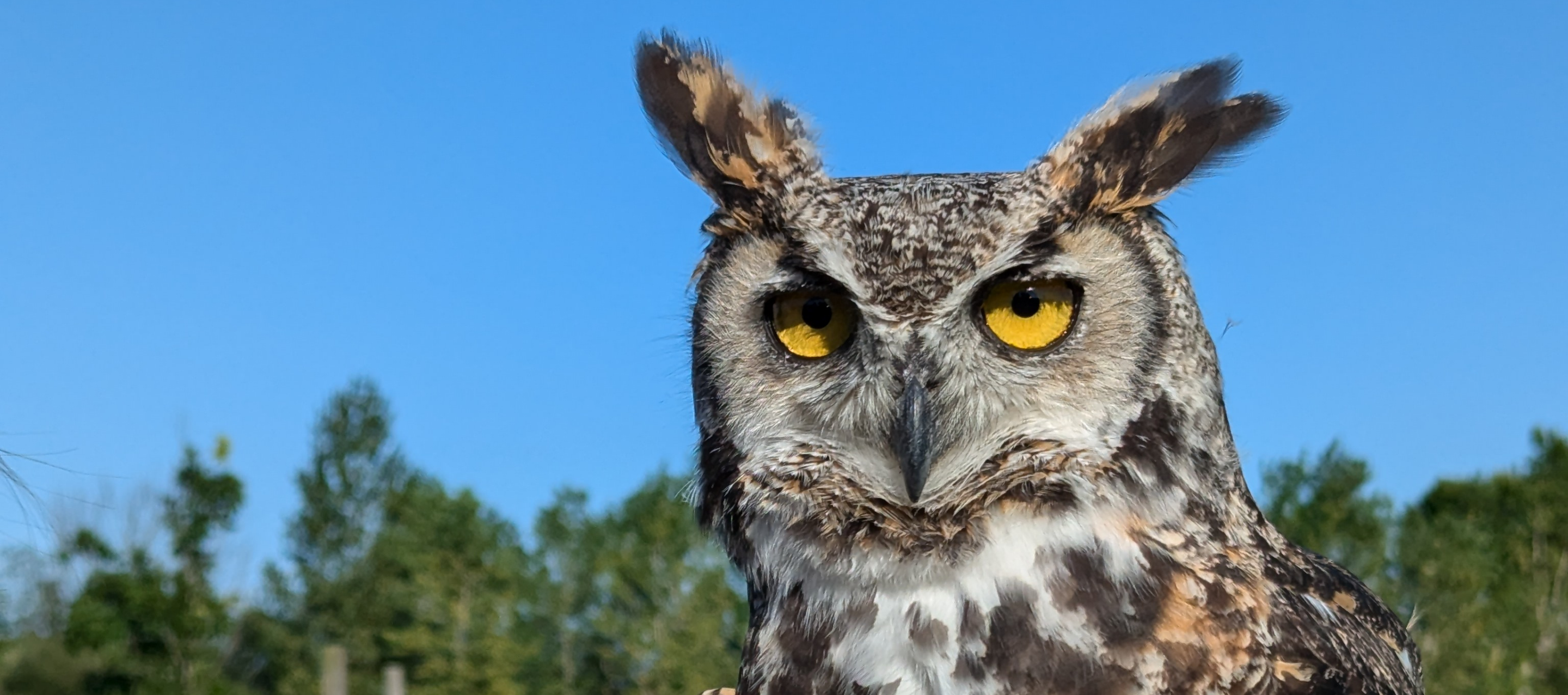 Family Fun Night at Heartland Forest
