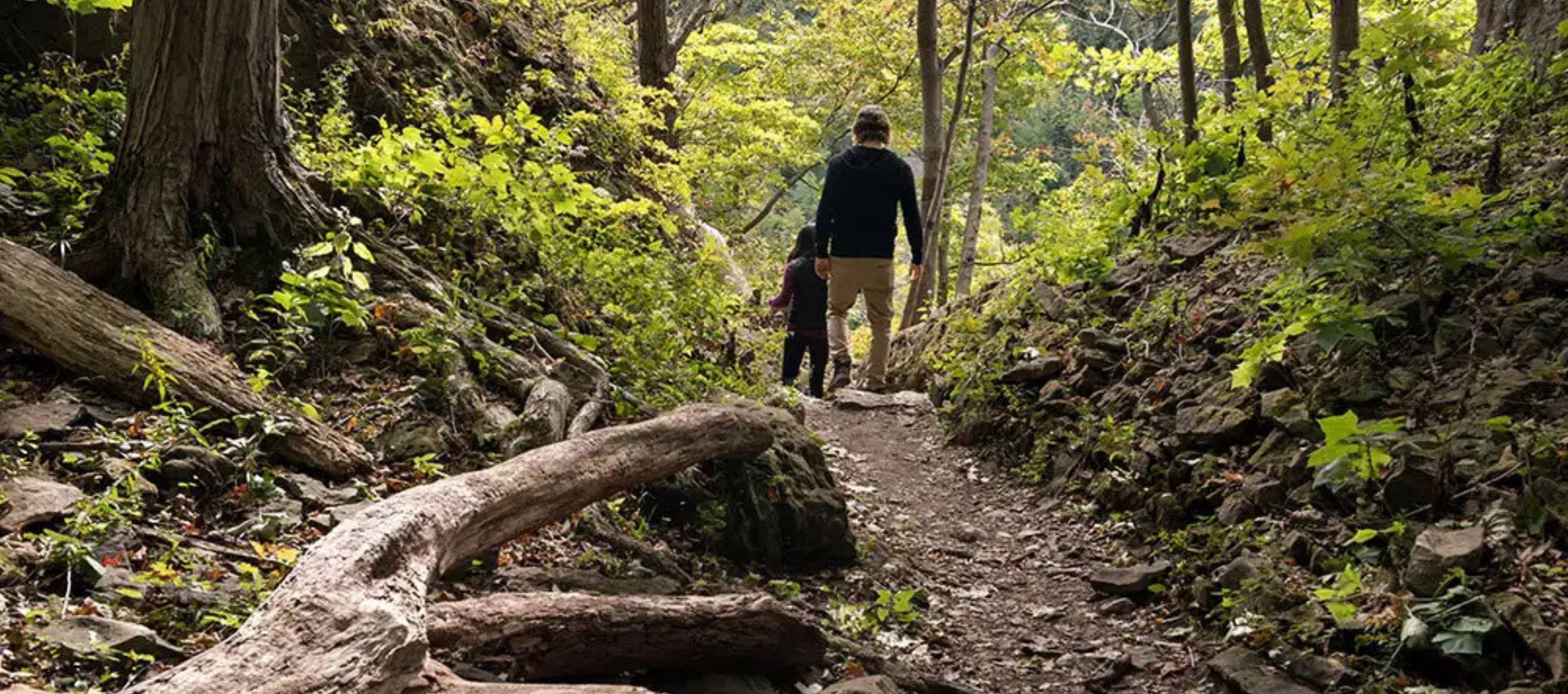 Wilderness Weekends