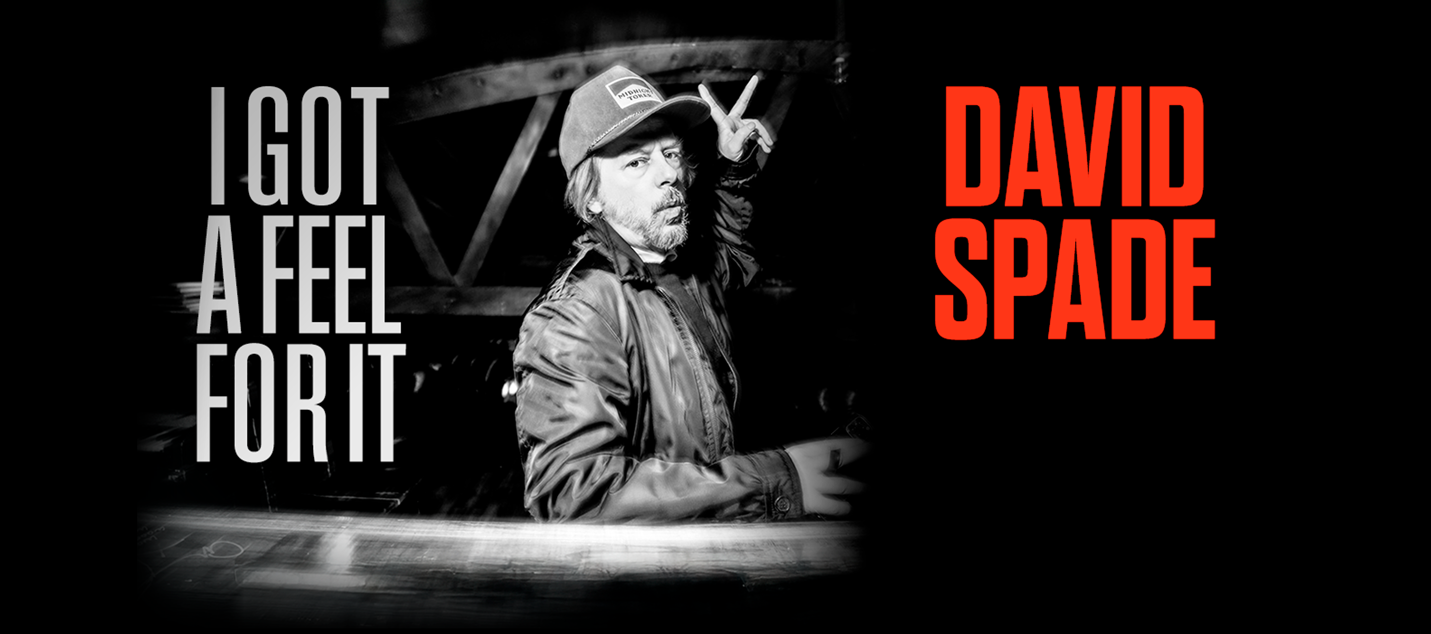 David Spade
