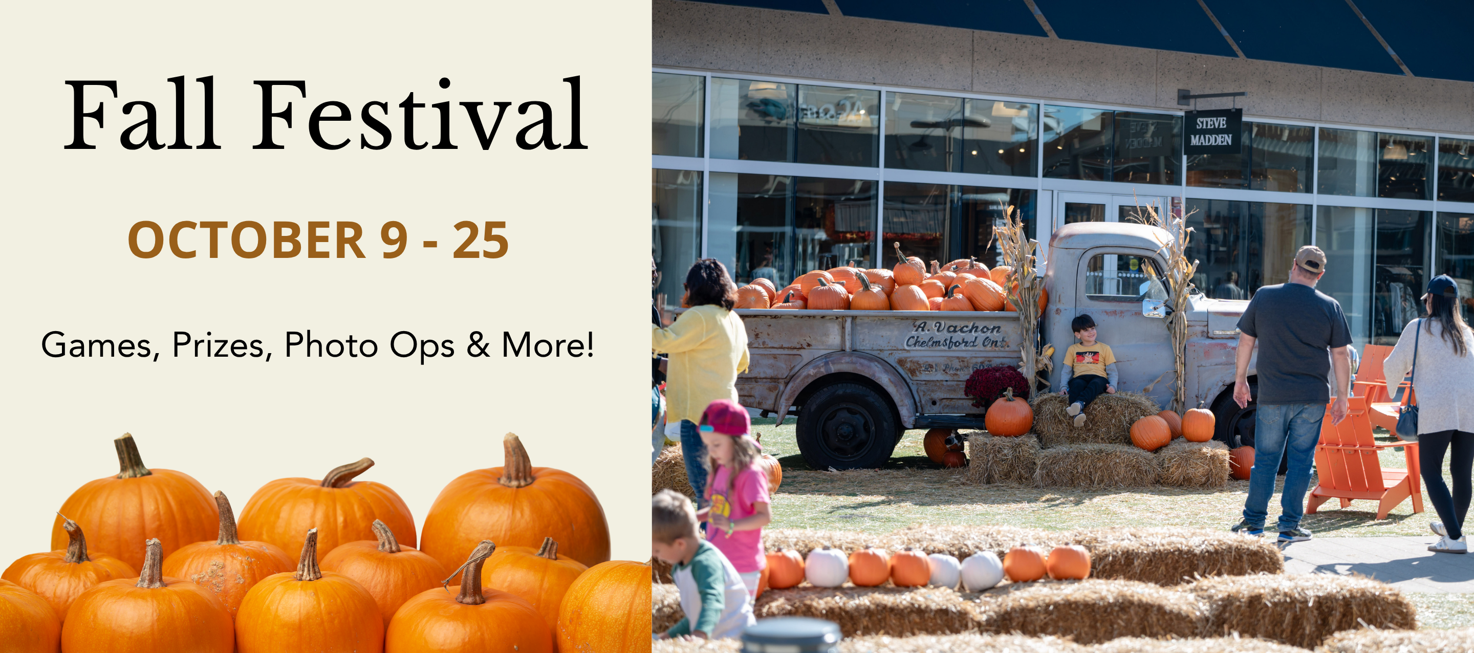 Fall Festival