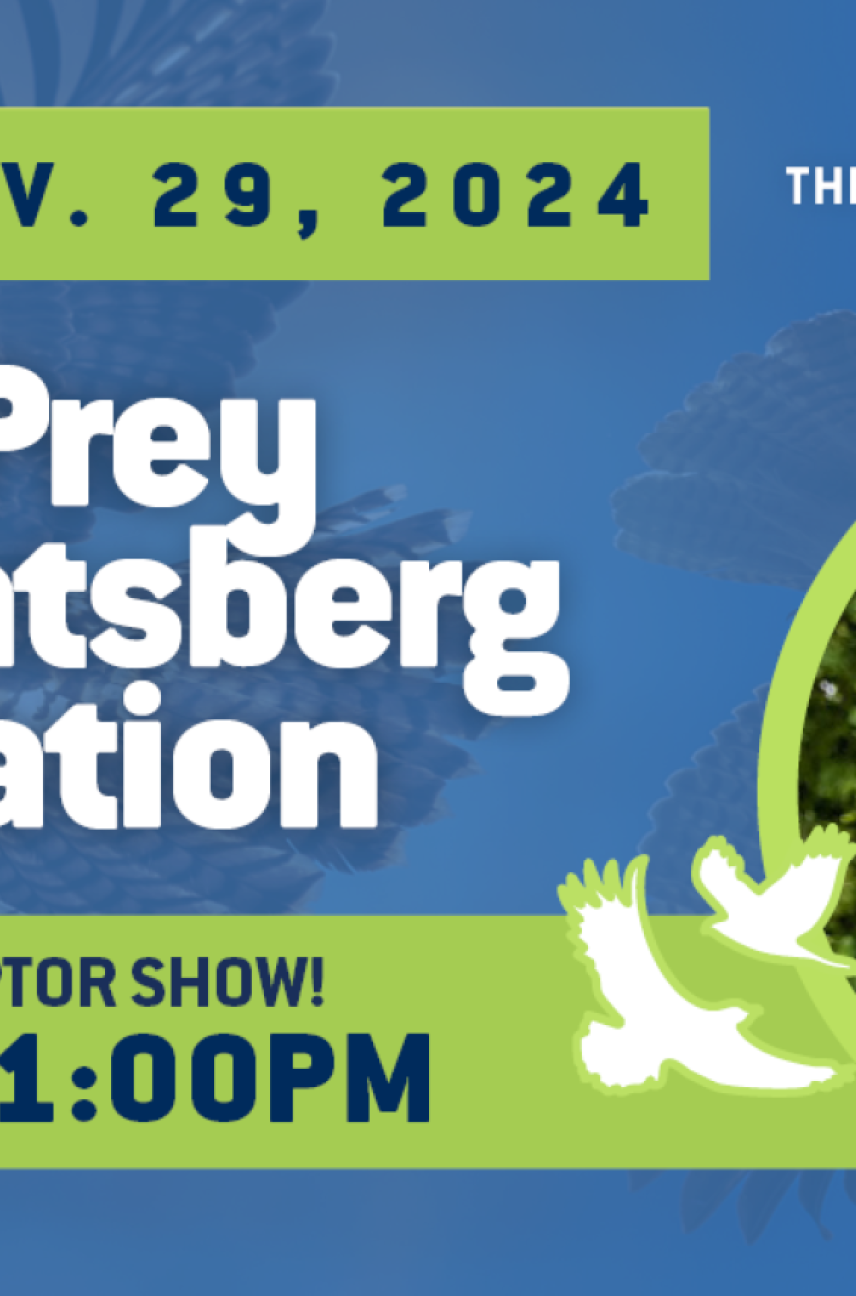 PD Day: Birds of Prey with Mountsberg Conservation