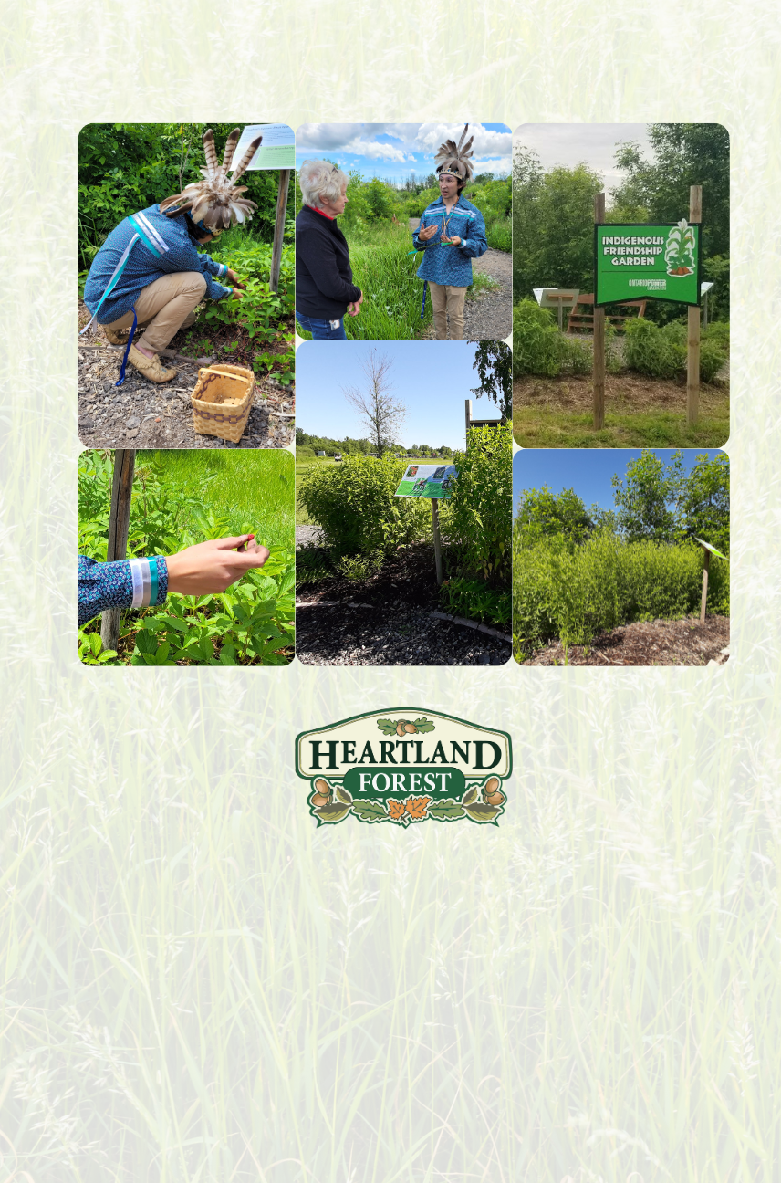 Indigenous Friendship Garden Opening Ceremony at Heartland Forest