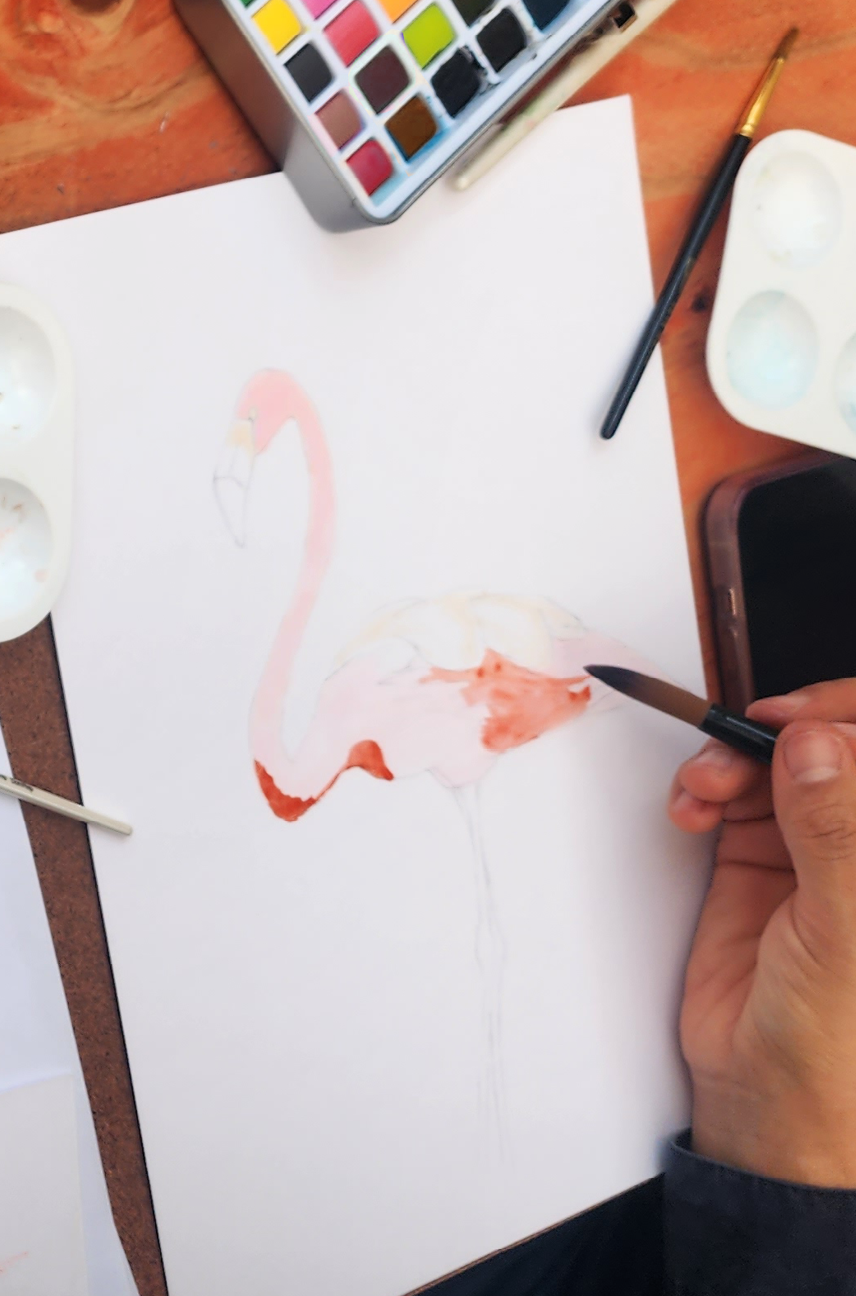 Watercolor Workshop: Animals