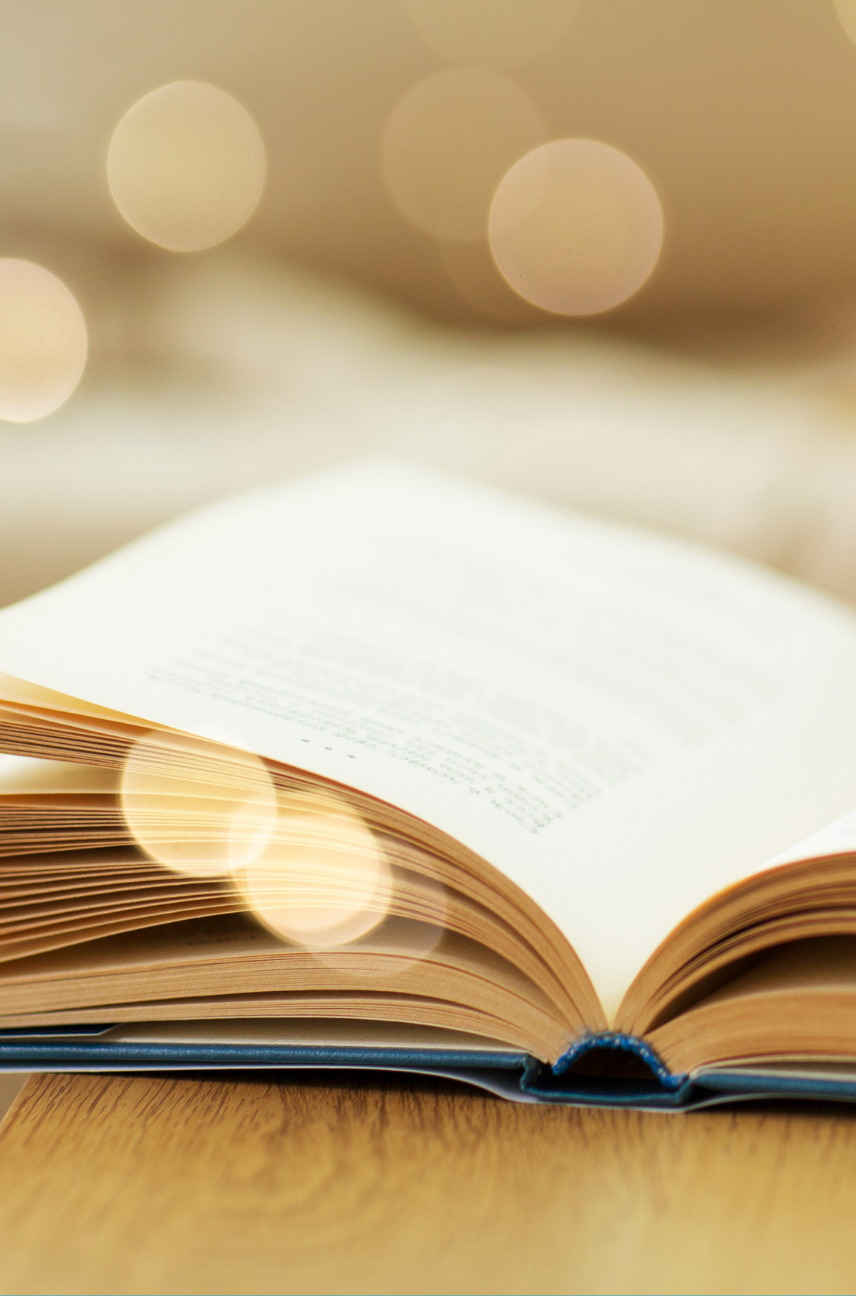 Coast to Coast Literary Series: Canada's Literary Women - Sue Hincenbergs, The Retirement Plan