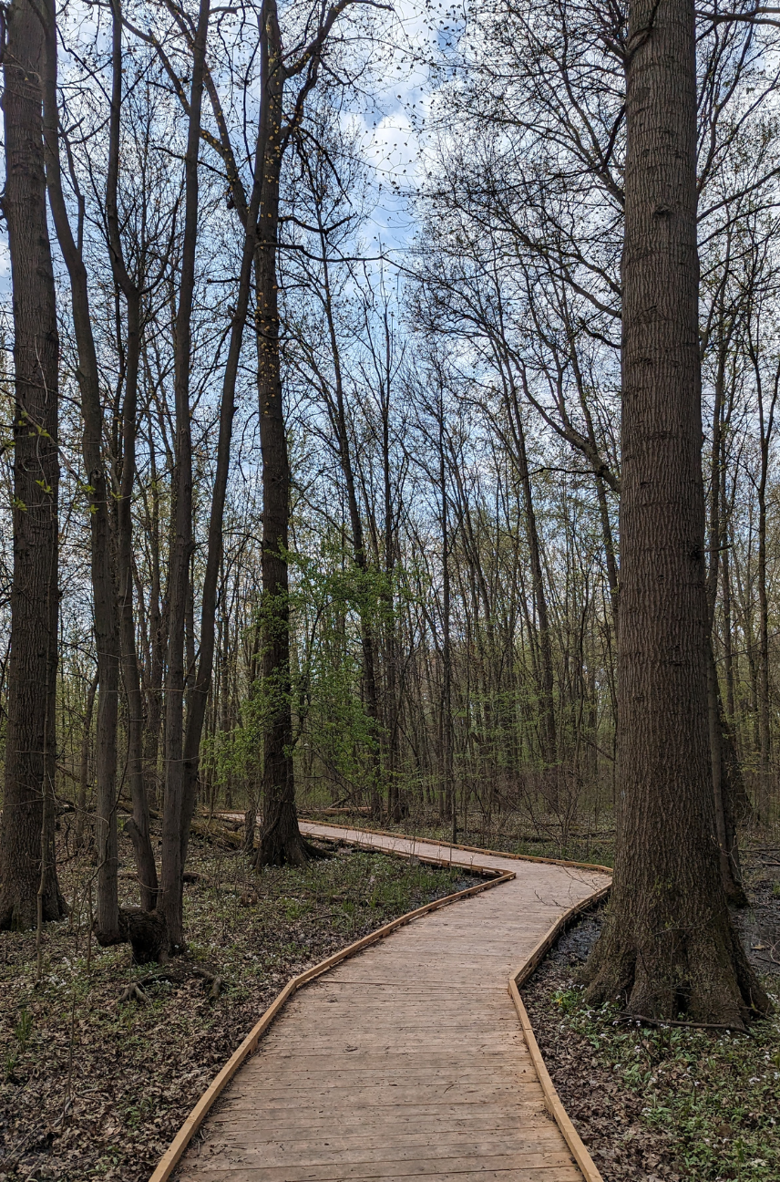 Earth Week Workshops at Heartland Forest