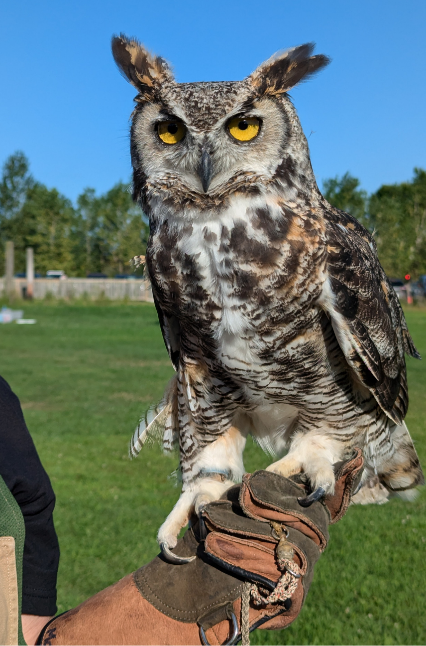 Family Fun Night at Heartland Forest