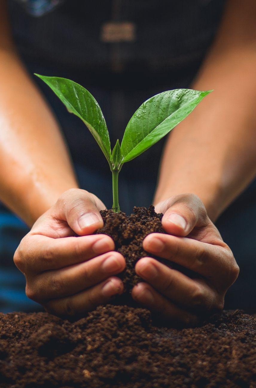 Community Tree Planting Day