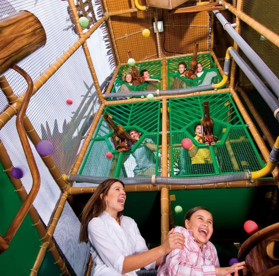 Bronto&#039;s Adventure Playland