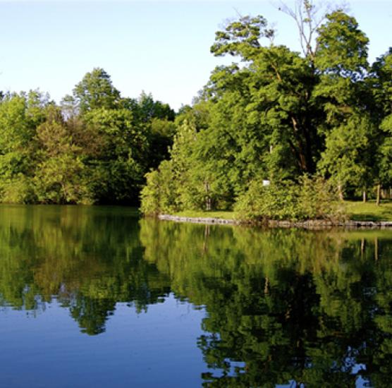 Dufferin Islands