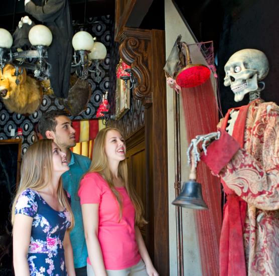 The Haunted House