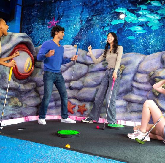 SkipARRR&#039;s Pirate Putt