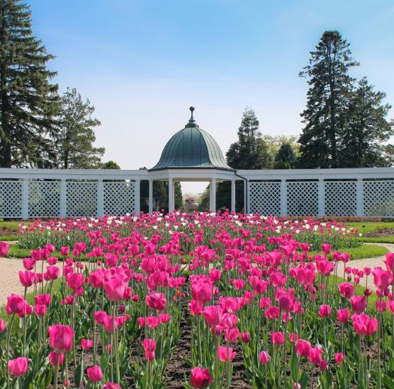 Botanical Gardens