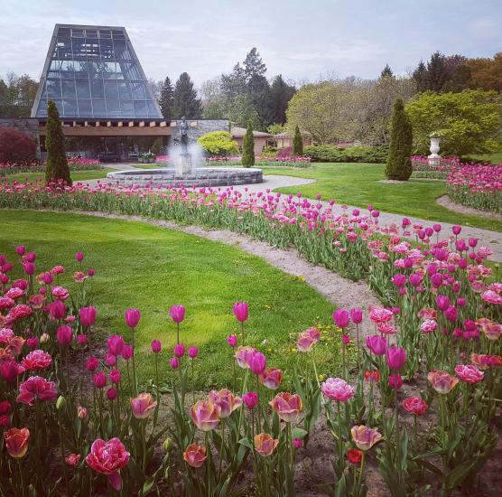 Floral Showhouse