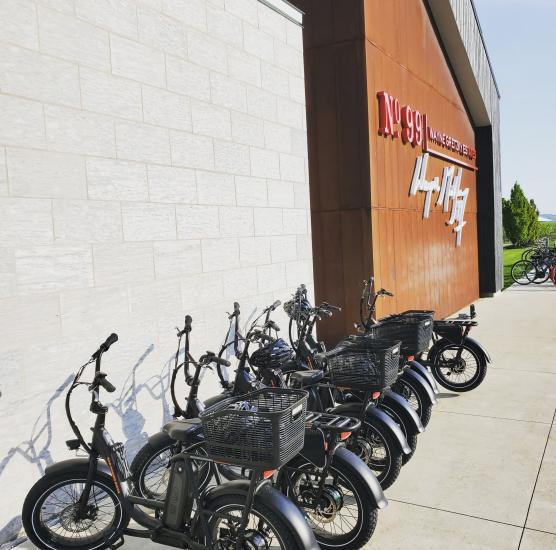 eBike Rental Niagara