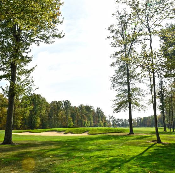 Best Golf Trips
