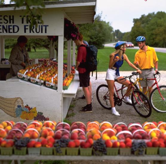 Zoom Leisure Bikes