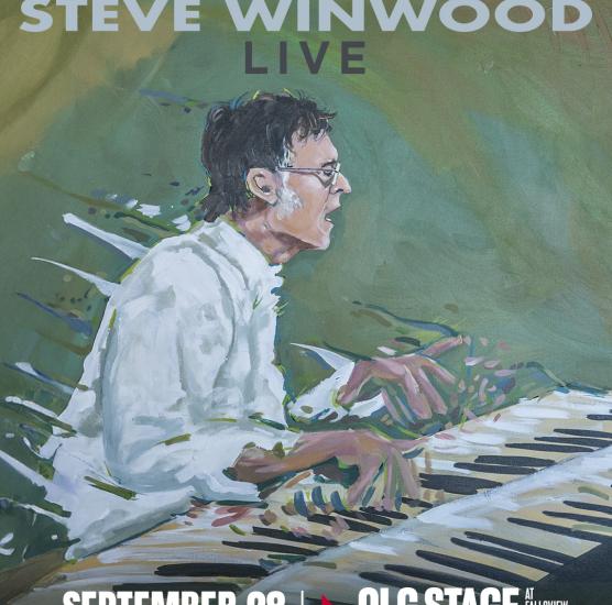 Steve Winwood Live