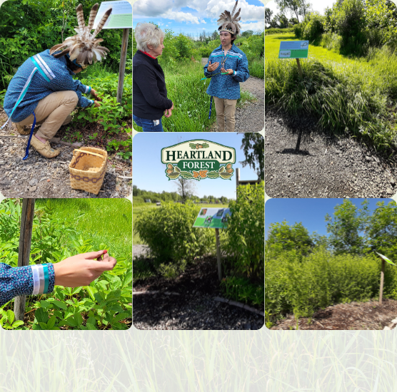 Indigenous Friendship Garden Opening Ceremony at Heartland Forest